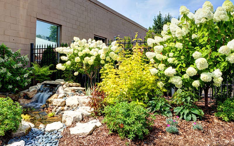 Barrett Lawn Care Hopkins