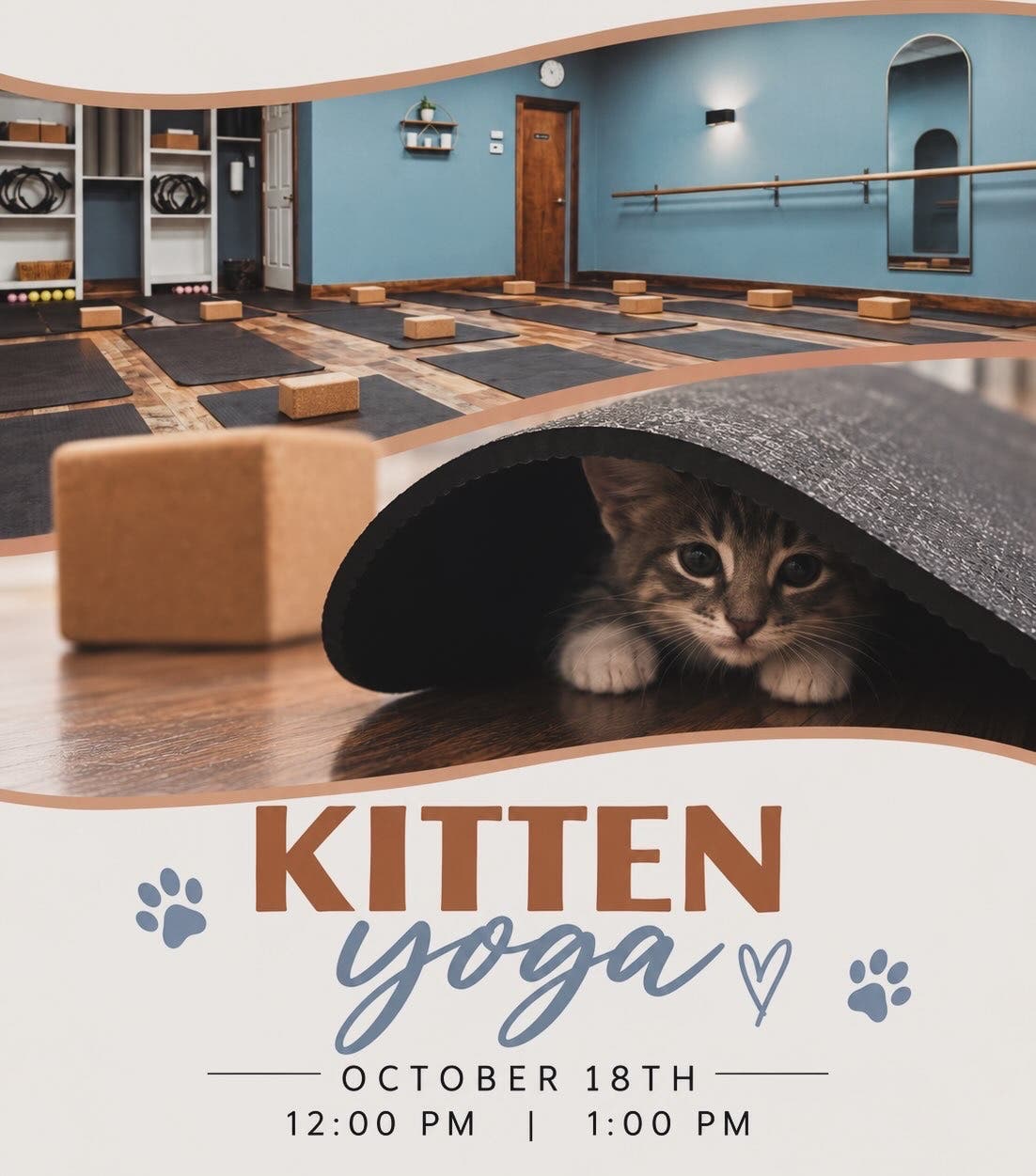 Hocus Pocus & Purrs Yoga
