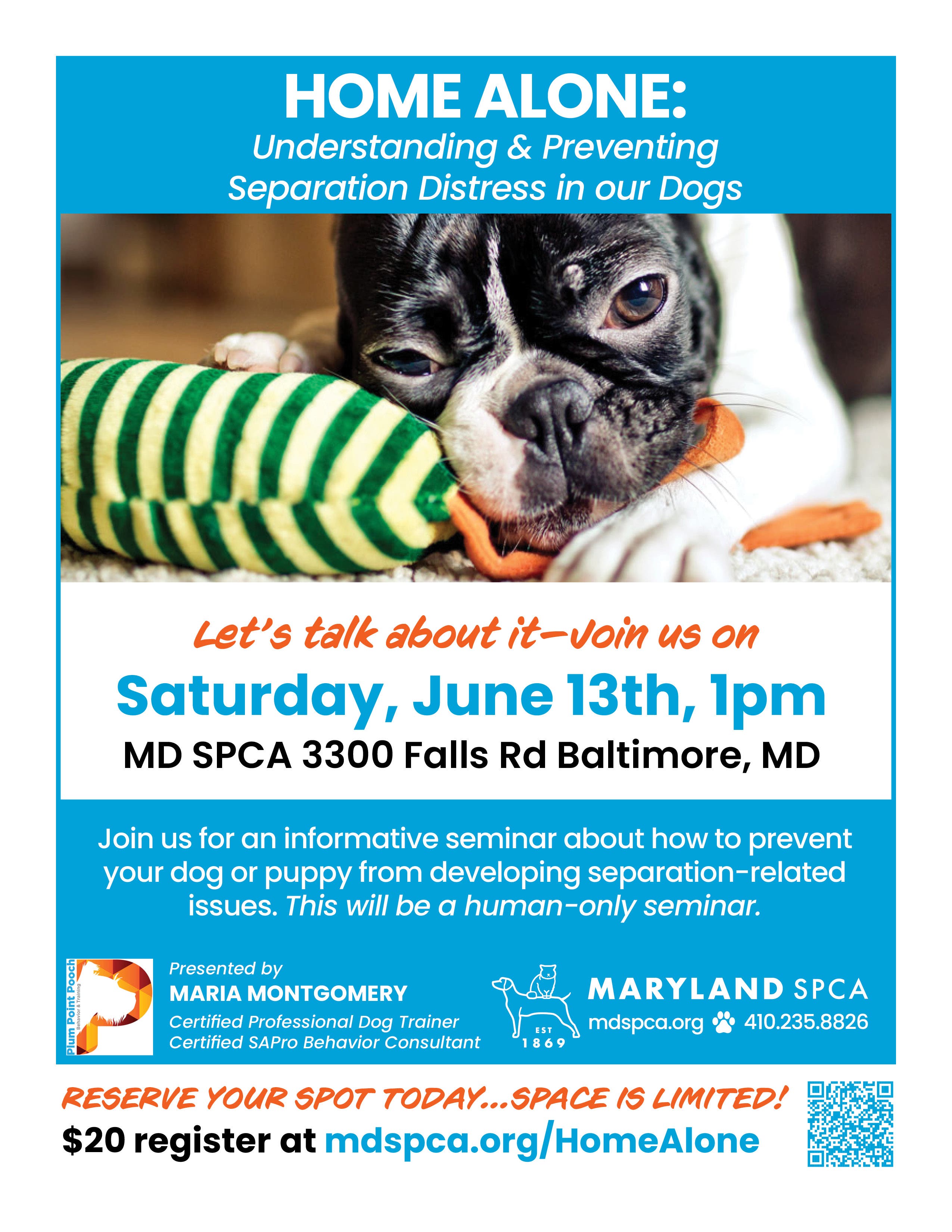 Dog Separation Anxiety Seminar