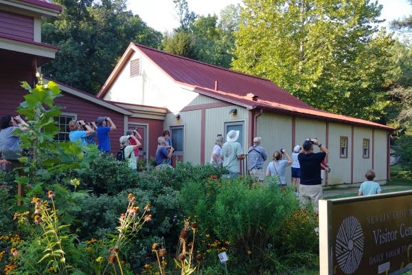 Bird Walks at Newlin Grist Mill