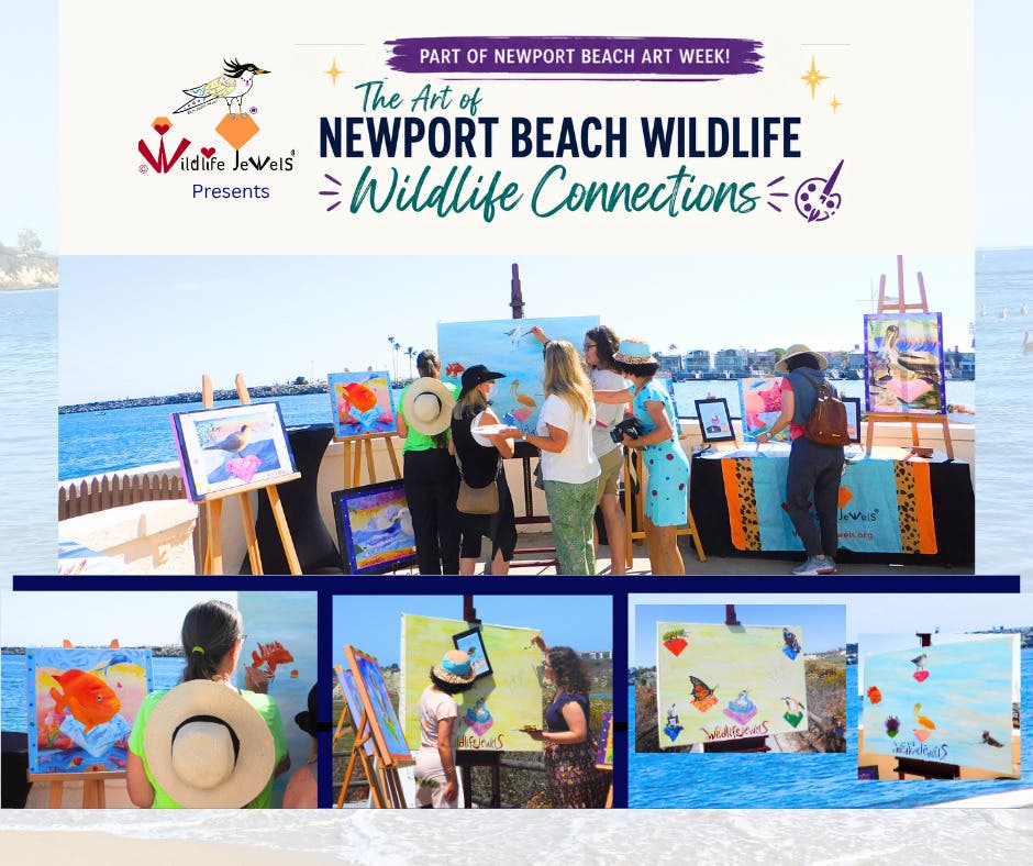 The Art of Newport Beach Wildlife: Harborfront Art Experience