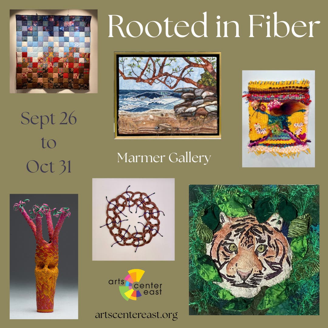 Opening Reception - Fiber Exhibit