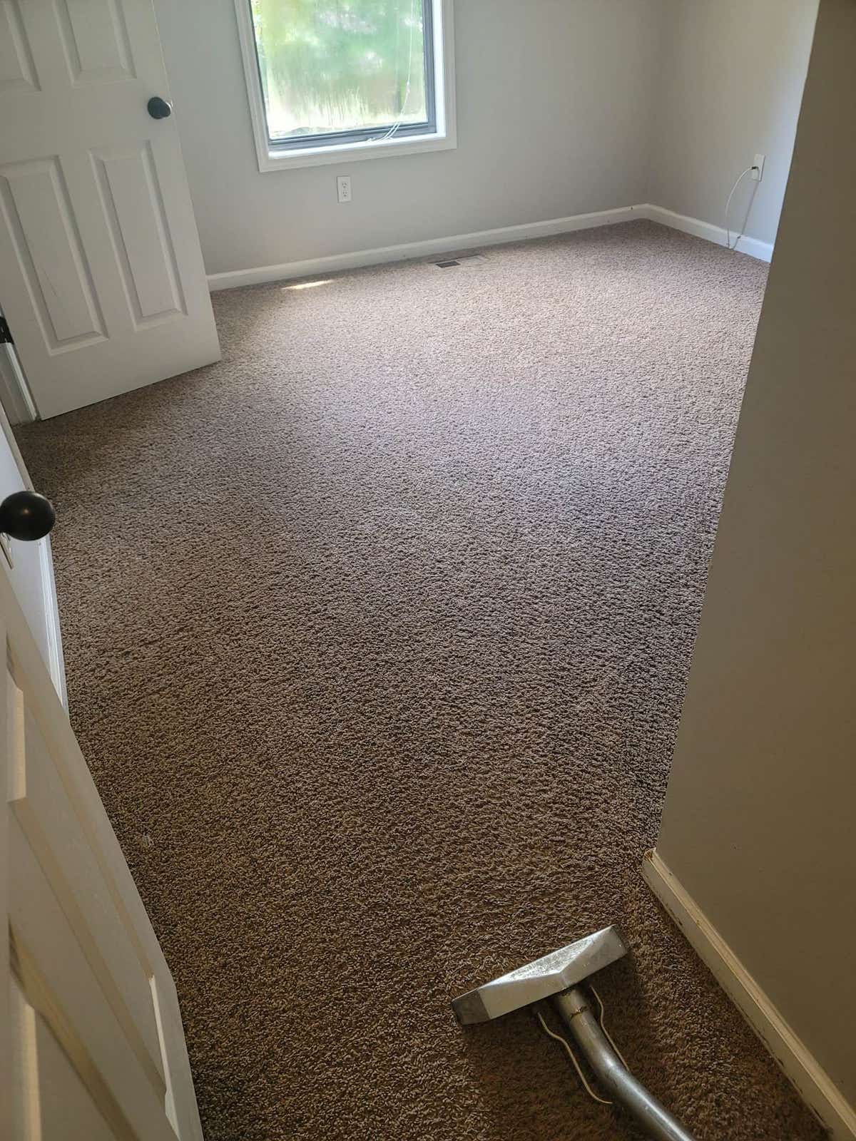 Raptor Carpet Cleaning