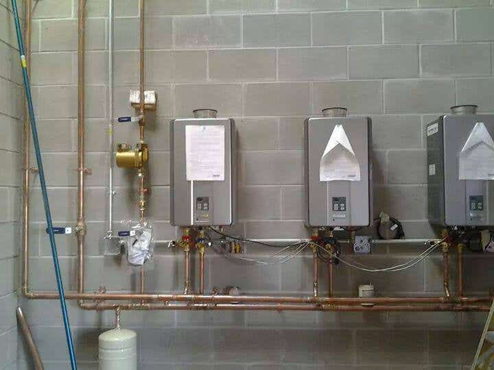 Dinosaur Plumbing