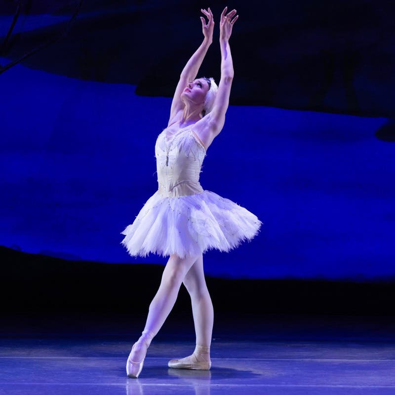 American Repertory Ballet Presents Swan Lake!