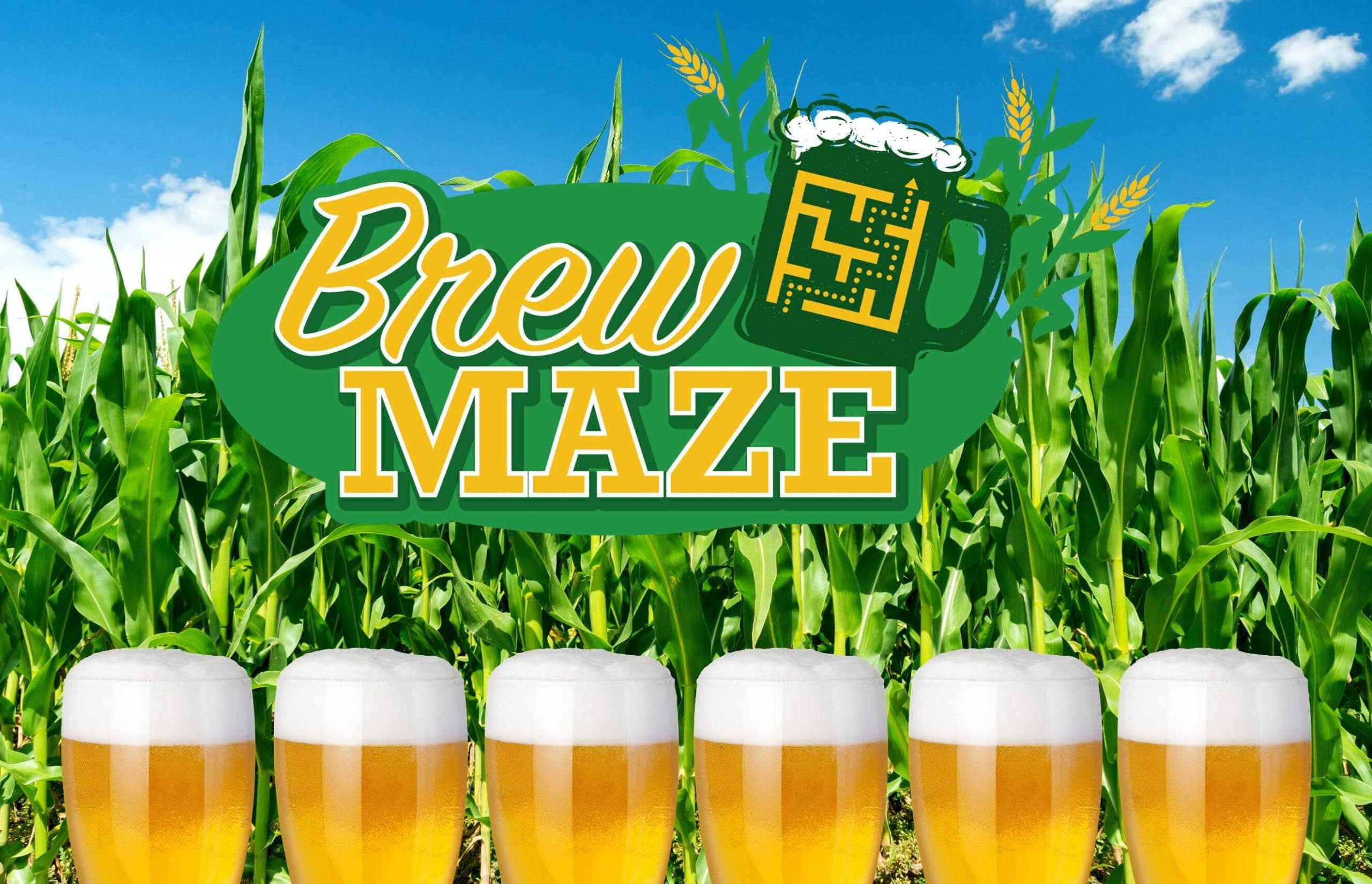 Brew Maze at Lyman Orchards Corn Maze
