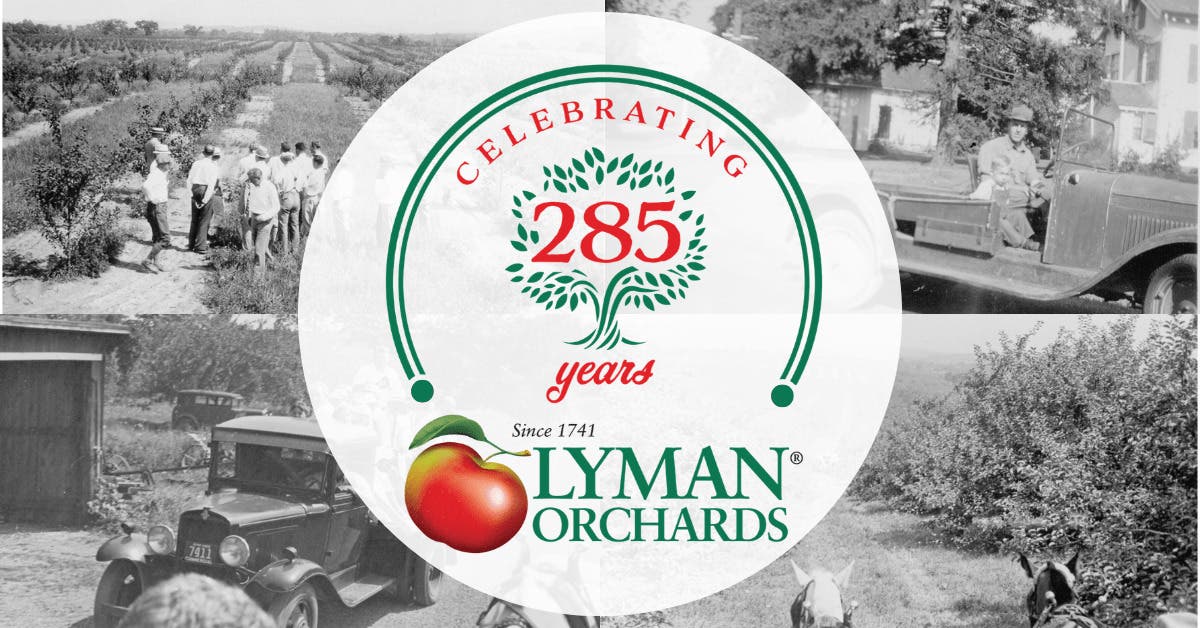 Lyman Farm's 285th Anniversary Festival | Middlefield, Connecticut