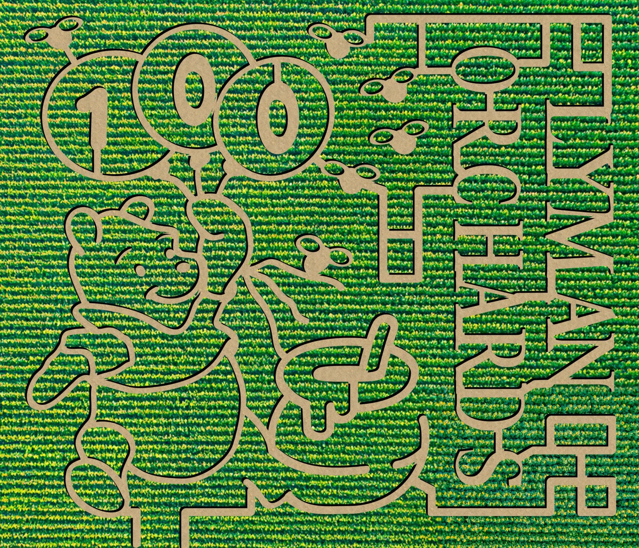 Sunflower Maze Opening Day Celebration