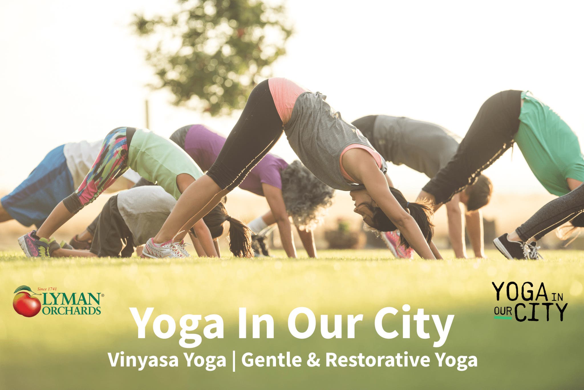Outdoor Yoga at Lyman Orchards with Yoga in Our City