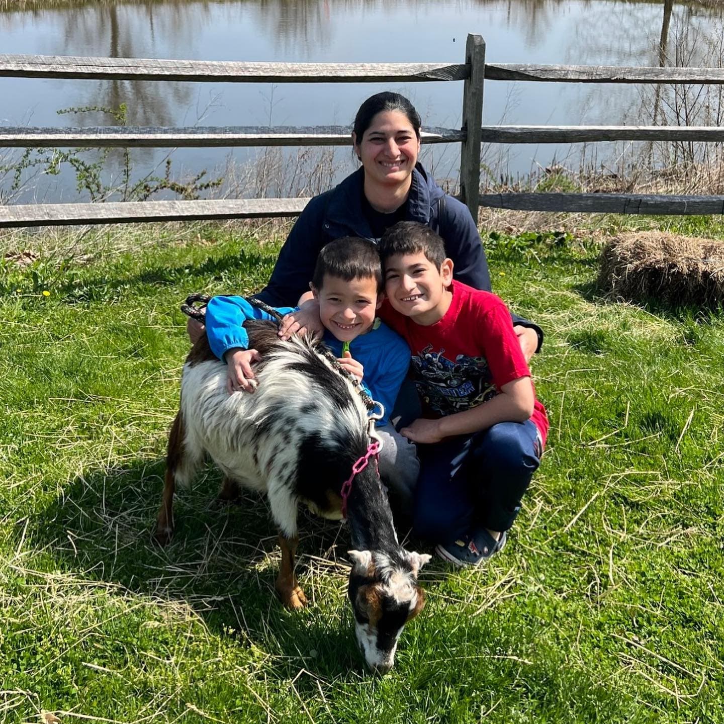 Goat Cuddle Brigade at Lyman Orchards