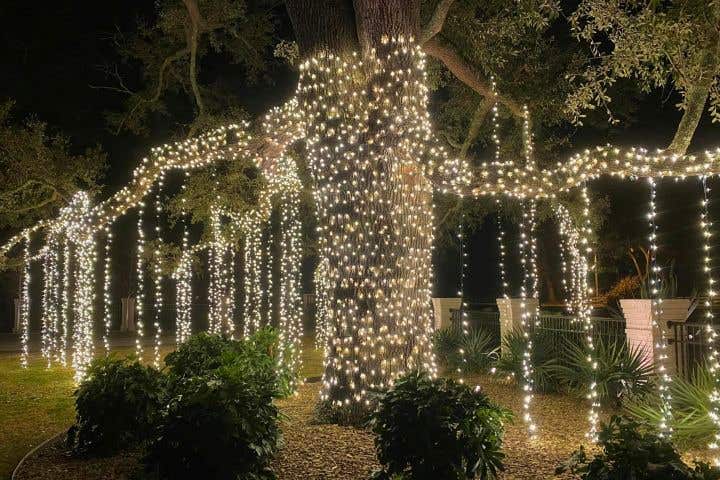 Pure Holiday Lighting