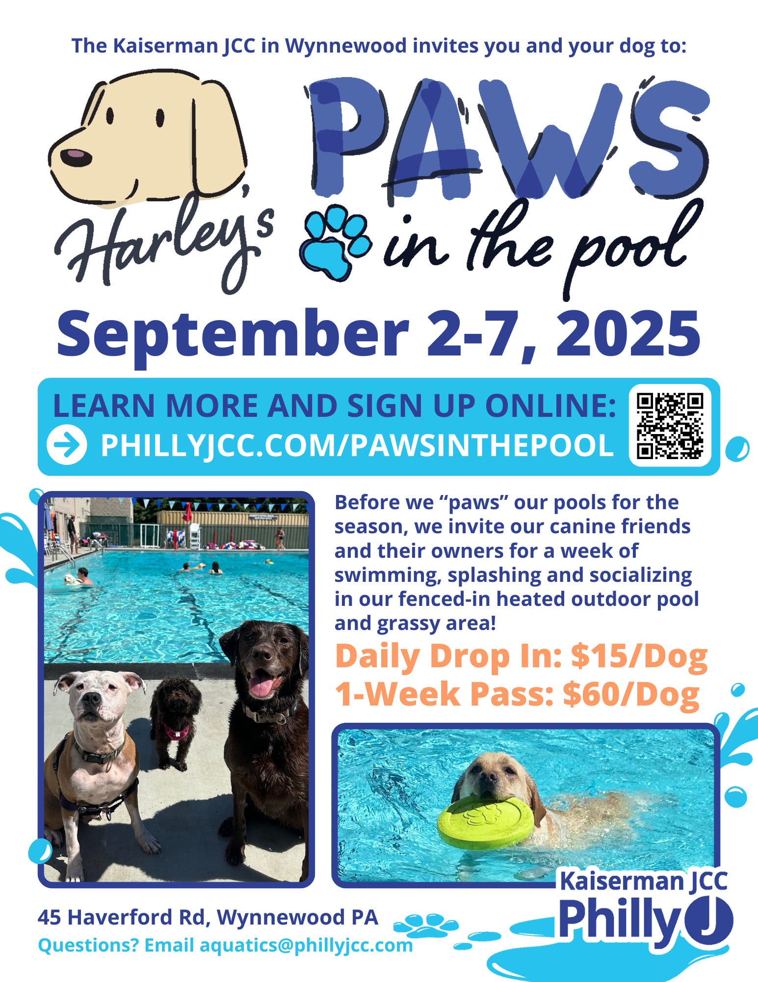 Paws in the Pool - Dog Swim Week 