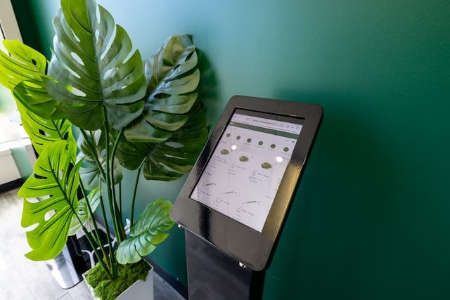 The Plant Dispensary Yonkers