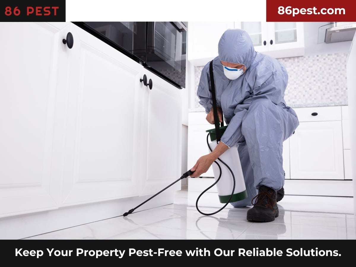86 Pest & Wildlife Removal