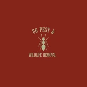86 Pest & Wildlife Removal
