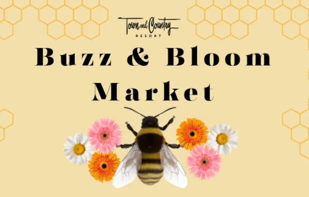 Buzz and Bloom Market