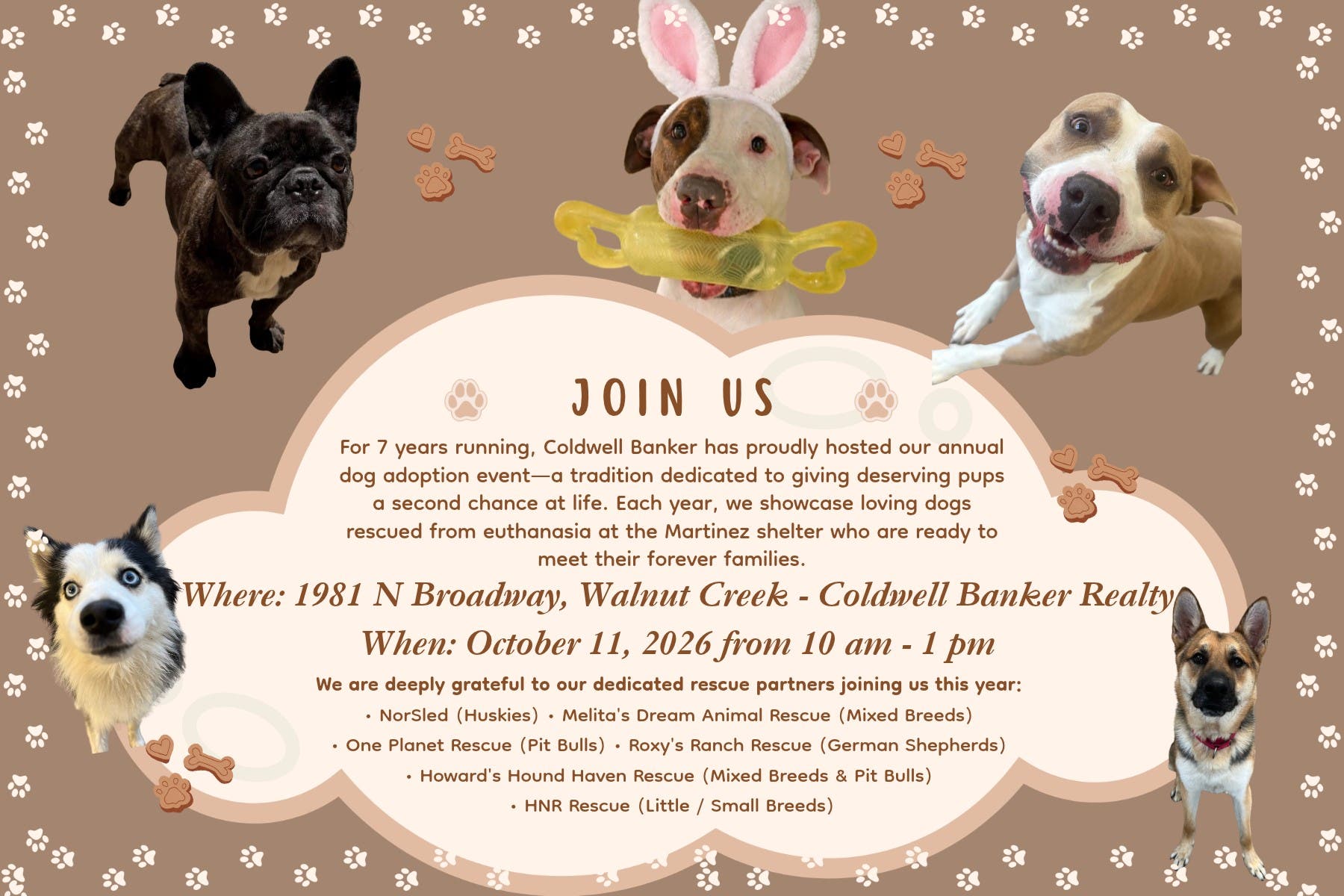 Coldwell Banker Dog Adoption Event!
