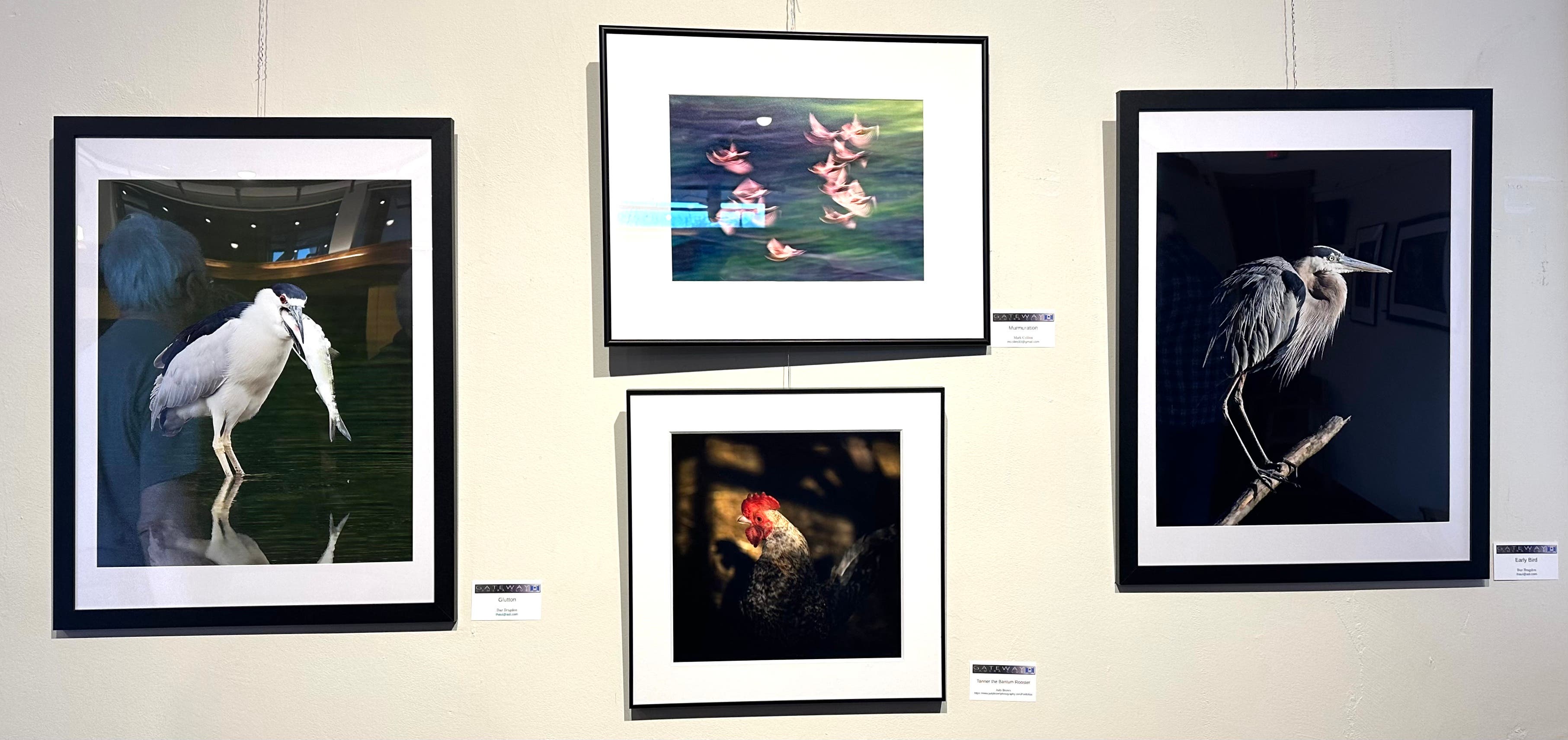 Gateway Camera Club Print Exhibit on Display at Broadmoor