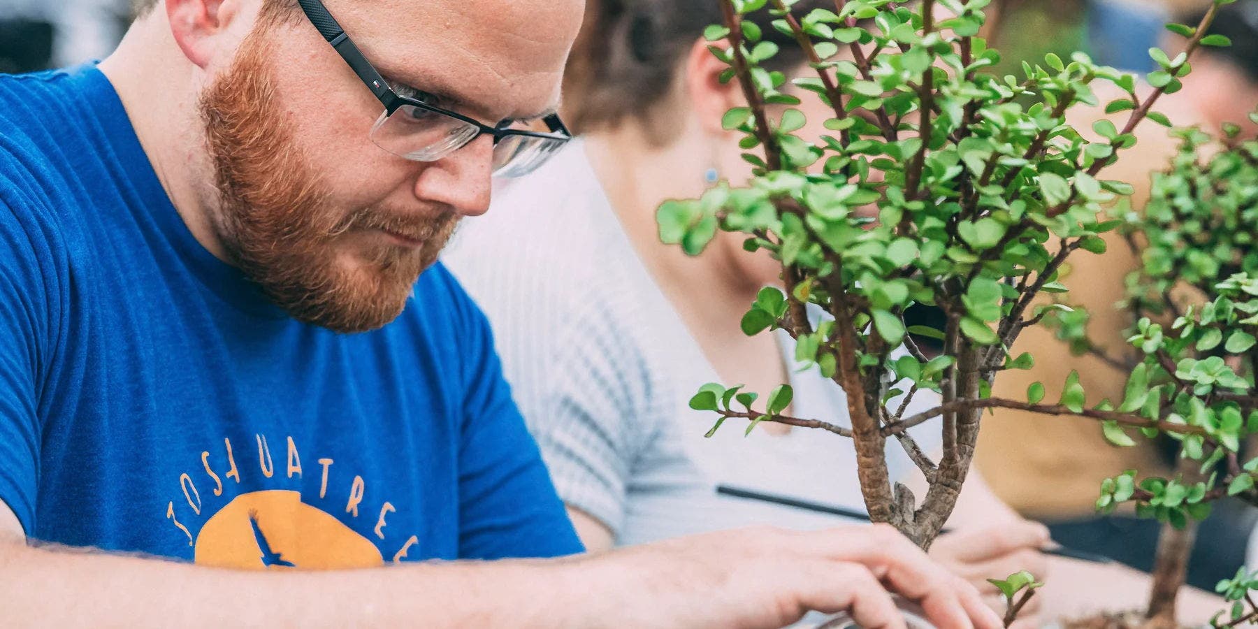 Bonsai Workshop at Paradise Hills Vineyard & Winery