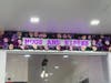 Special meeting room, just as bright and open and colorful as the rest of the place