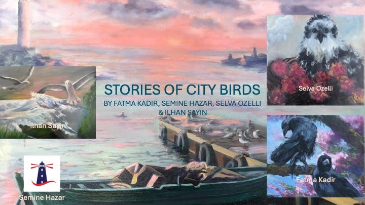 Stories of City Birds as part of the Melting Age Art Show at the National Lighthouse Museum