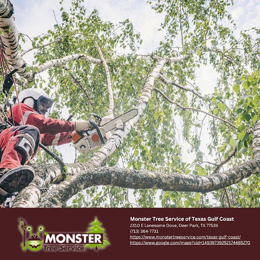 Monster Tree Service of Texas Gulf Coast Prepares Deer Park Homes for Summer Storm Season with Profe
