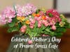 Celebrate Mother's Day at Prairie Grass Cafe in Northbrook