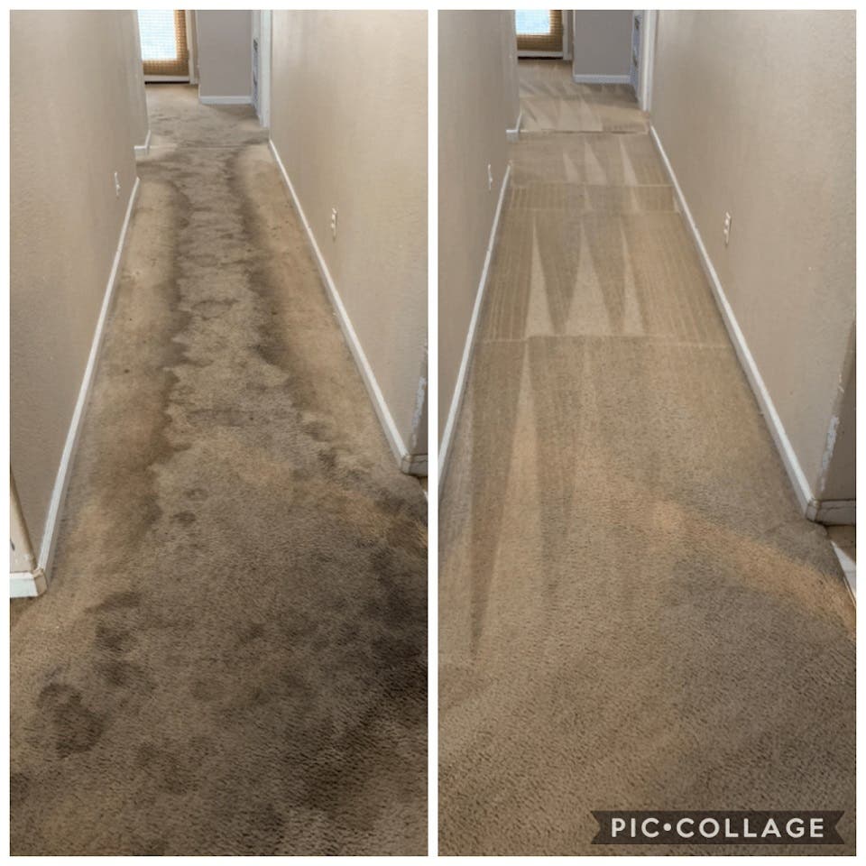 Steam Master DFW Carpet & Tile Cleaning