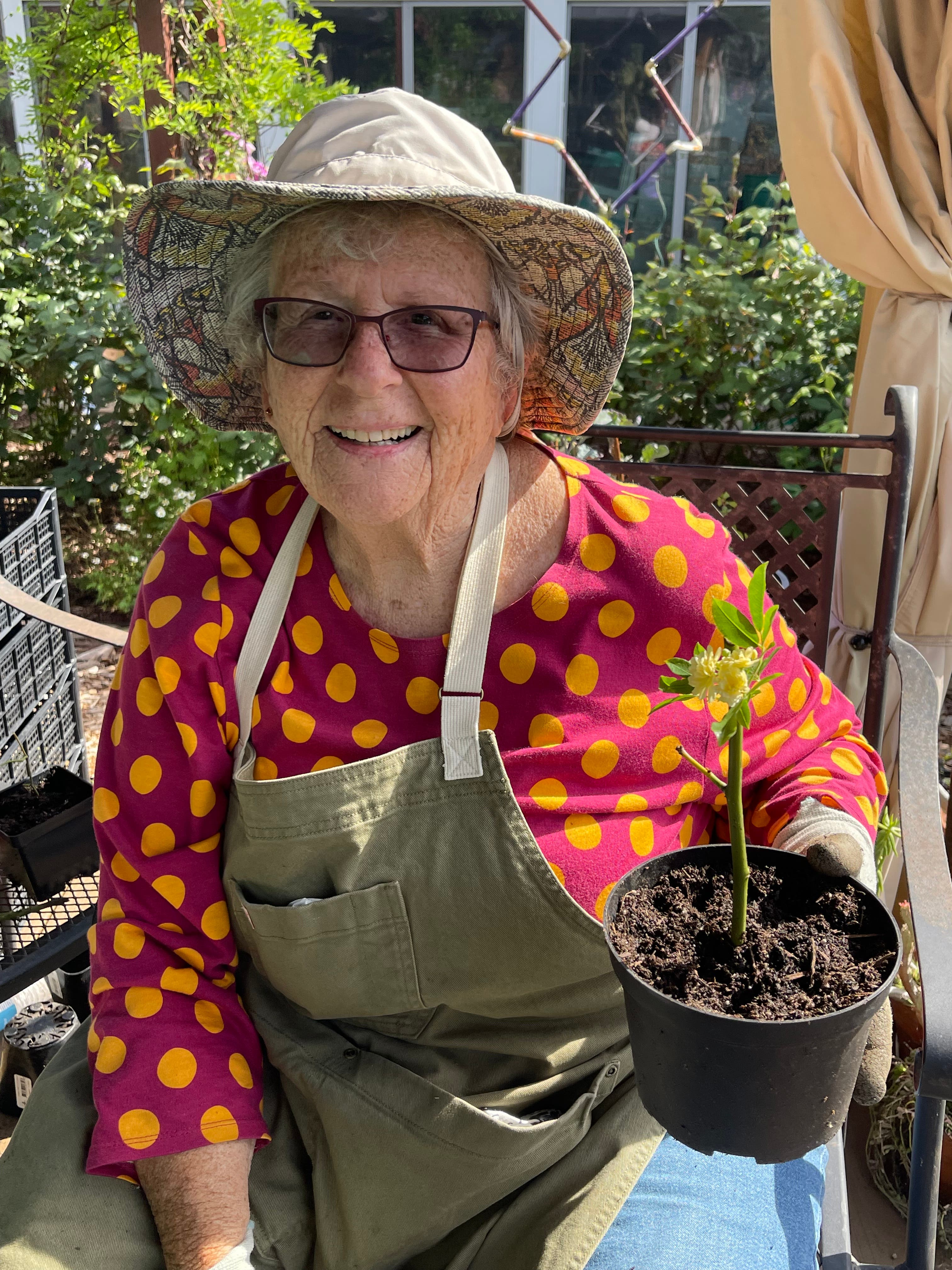 Gardening with Nan Yarborough