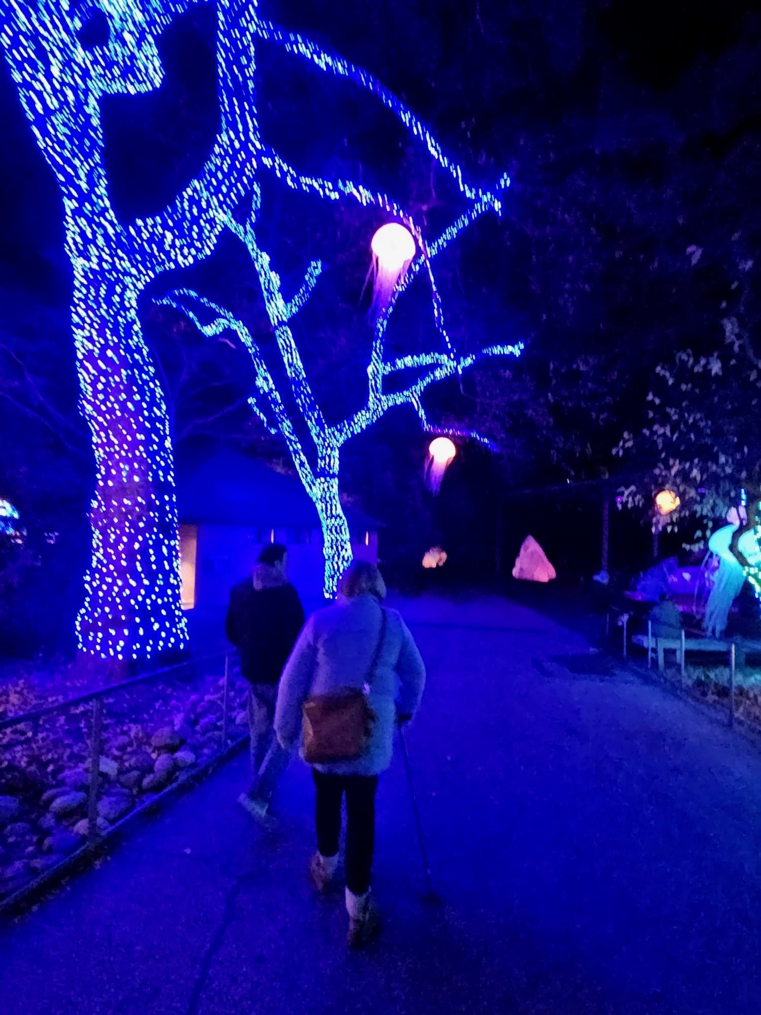 Ryan Abramson from Bucks County Reviews Luminature at the Philadelphia Zoo Ryan Abramson from Bucks County Reviews Luminature at the Philadelphia Zoo