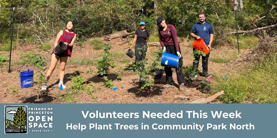 Volunteer to Plant Trees for Earth Day in Princeton with FOPOS // Saturday, April 25th
