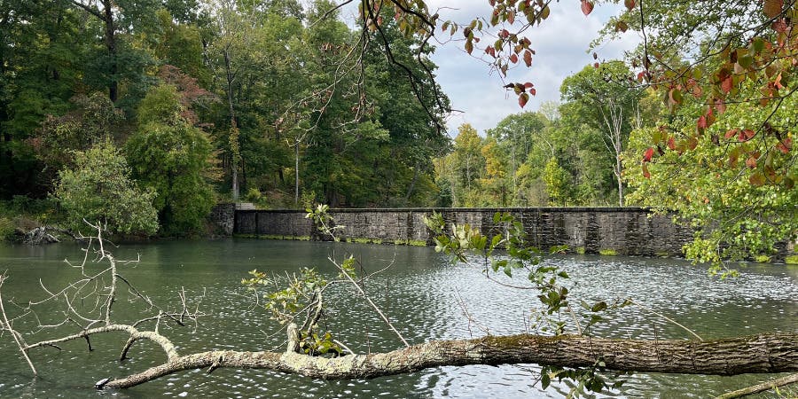 May Nature Walk with FOPOS // Friday, May 22nd