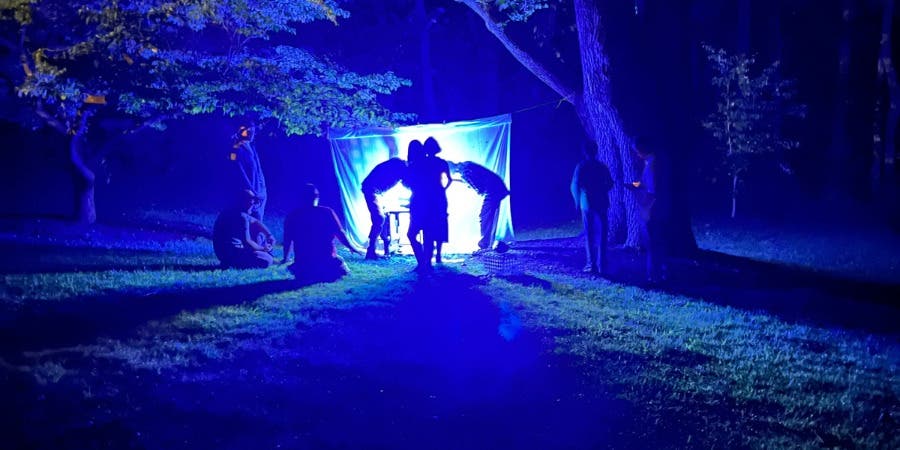 FOPOS Insect Talk: "Bewitching Butterflies, Macabre Moths, and other Spooky Bug Myths”