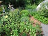 One of many spectacular Greenwich grown gardens