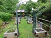 New Lebanon School garden