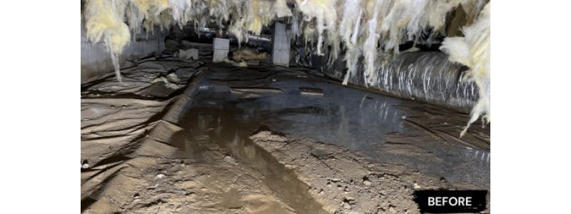 DFX Foundation & Waterproofing Experts