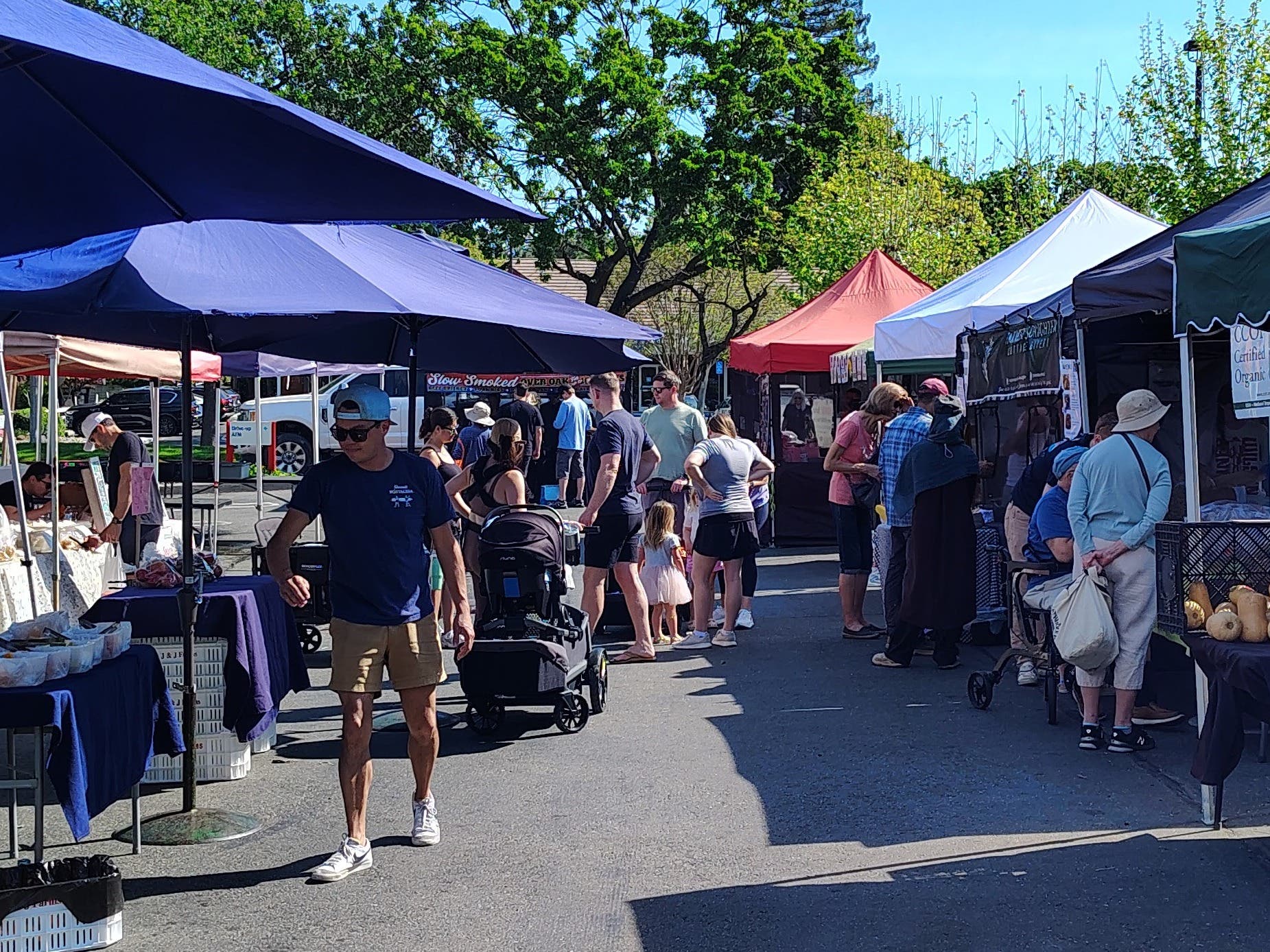 New Vendor Joins the Alamo Farmers' Market THIS Sunday (7/12/26)