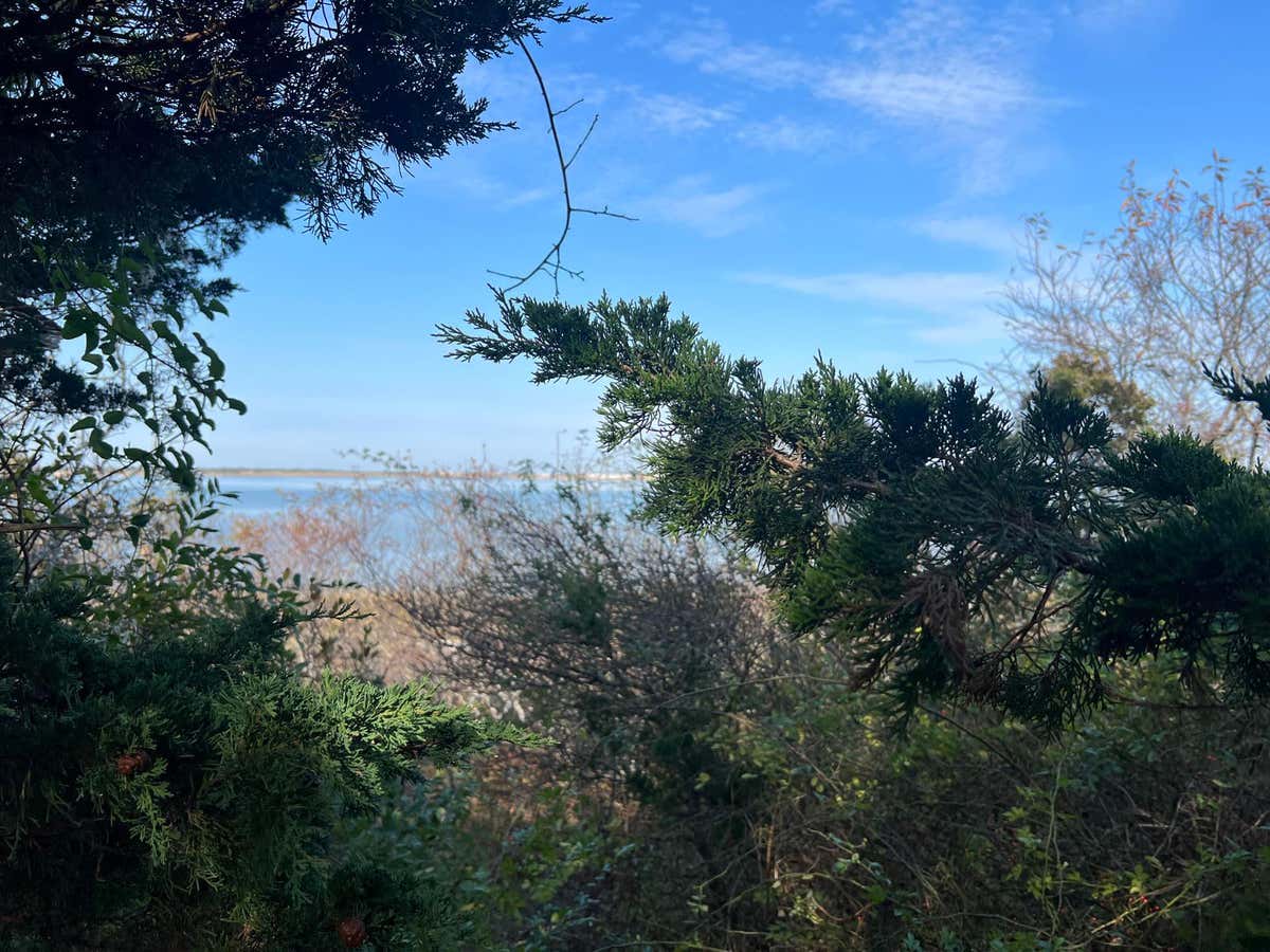 Eco Rotoract of Nassau County, Long Island