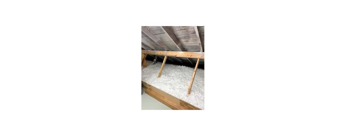 Geo-Insulation & Nuisance Wildlife Removal Services, LLC