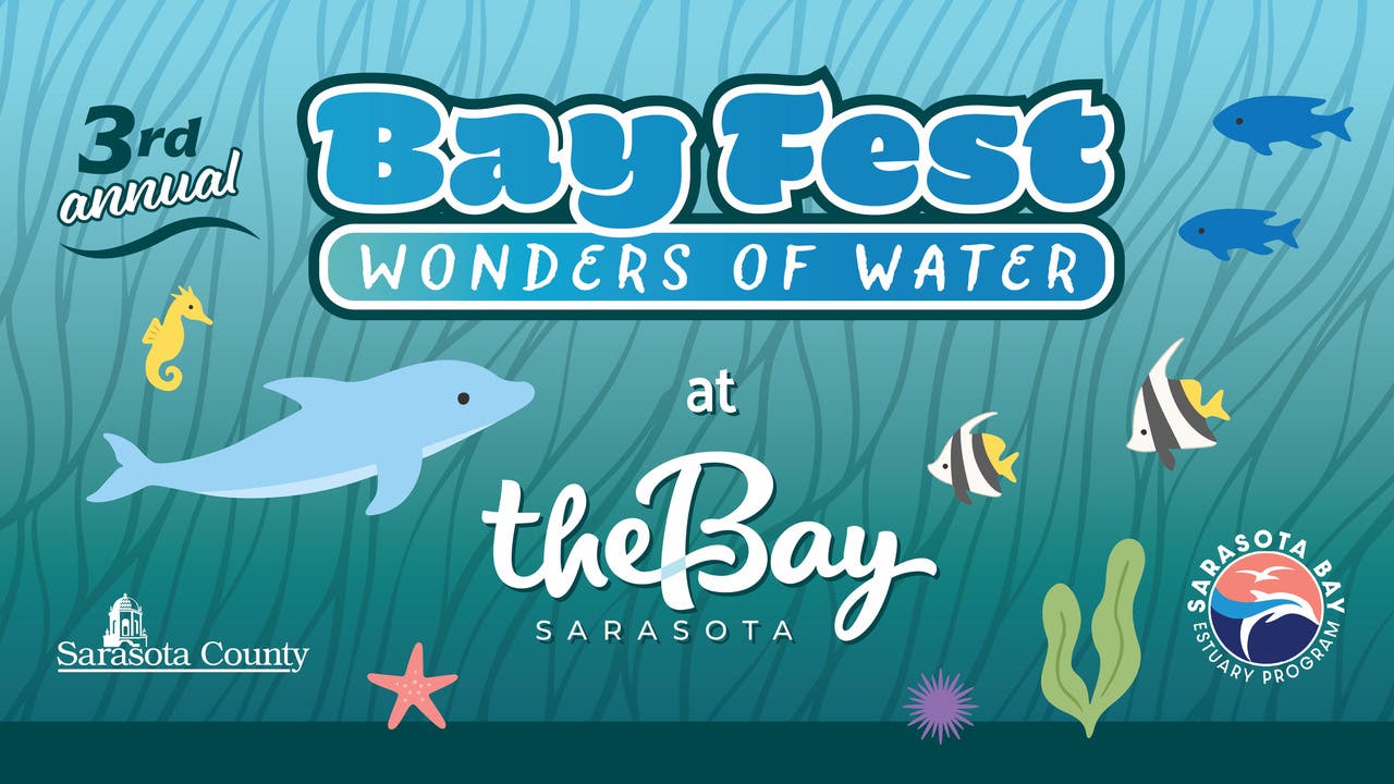 Bay Fest