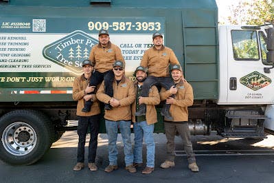 Rialto, CA Homeowners: Don’t Ignore These Tree Warning Signs