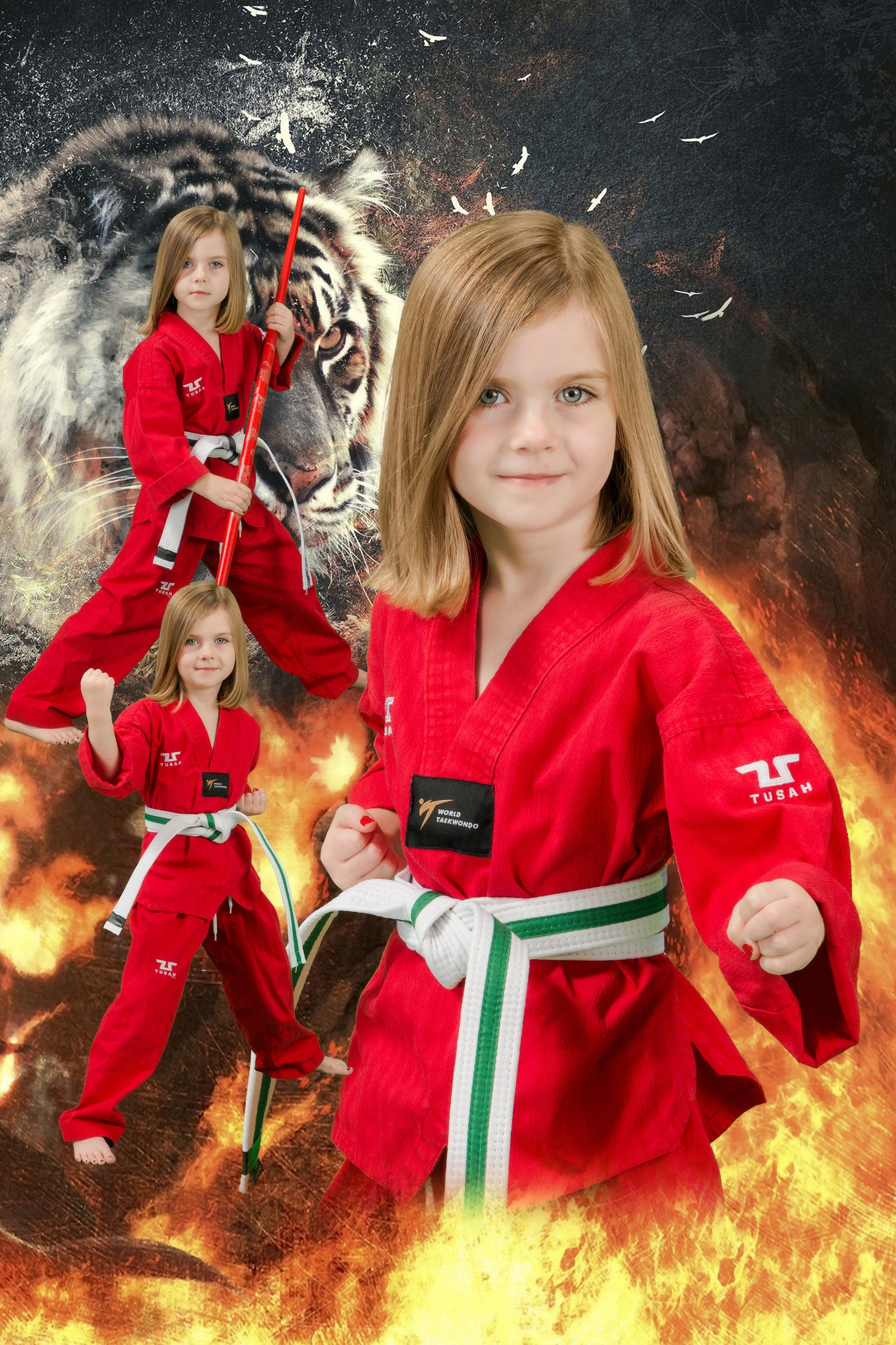 Cours de taekwondo abordables à Raleigh, NC - Trouvez le bon prix pour votre formation