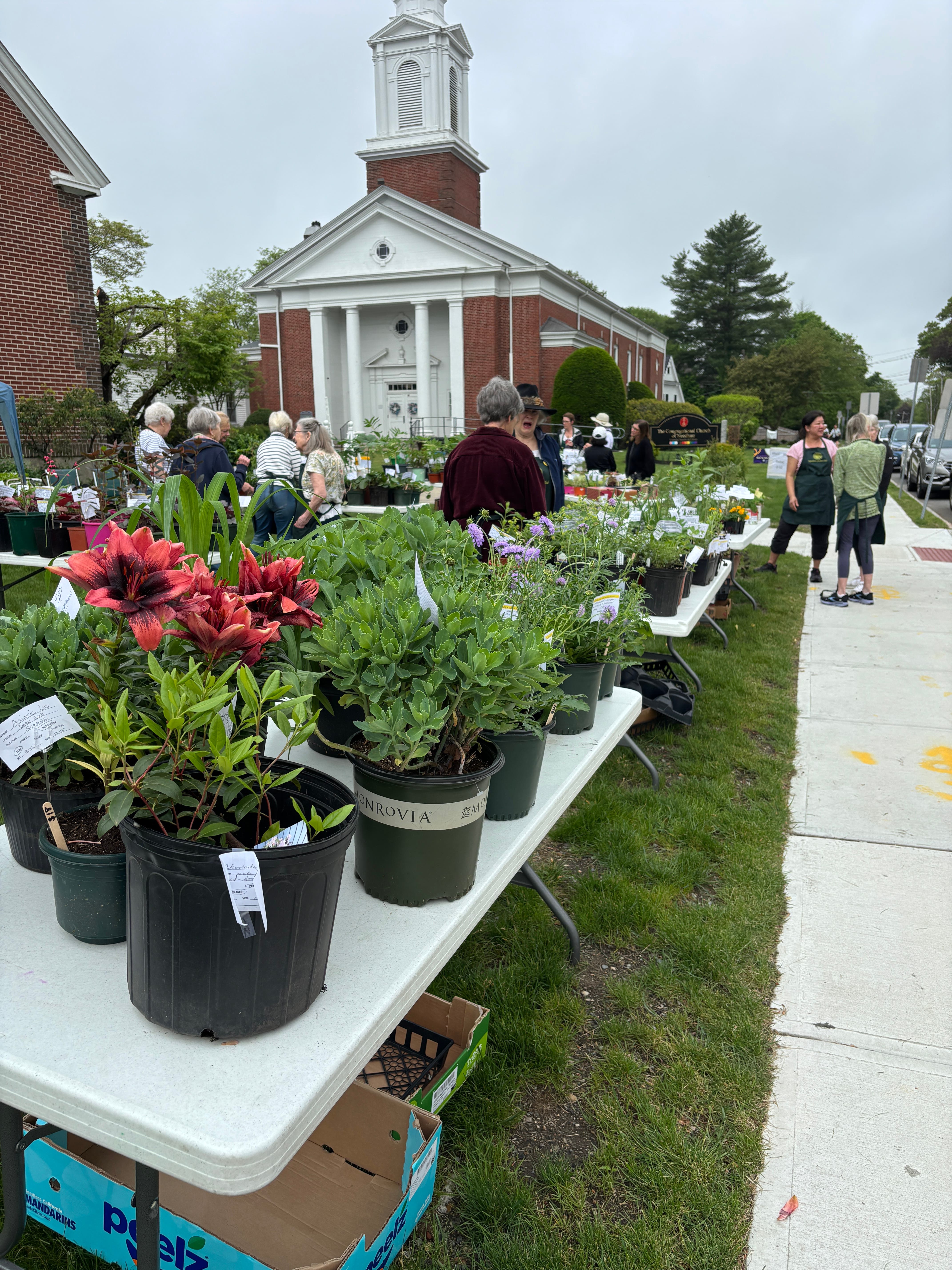 Needham Garden Club Annual Plant Sale