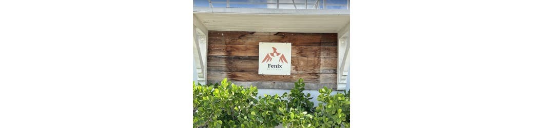 Fenix Recovery LLC