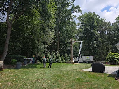 Bel Air South Homeowners Turn to Orellana Tree Service for Safer, More Reliable Tree Care