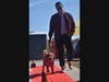 Red carpet 