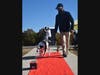 Red carpet walk