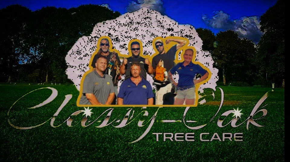 Classy Oak Tree Care