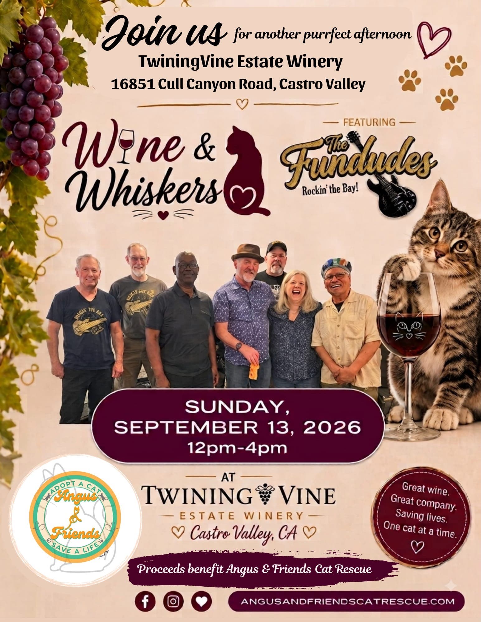 Angus & Friends Cat Rescue Presents Wine & Whiskers & Live Music at TwiningVine Estate Winery