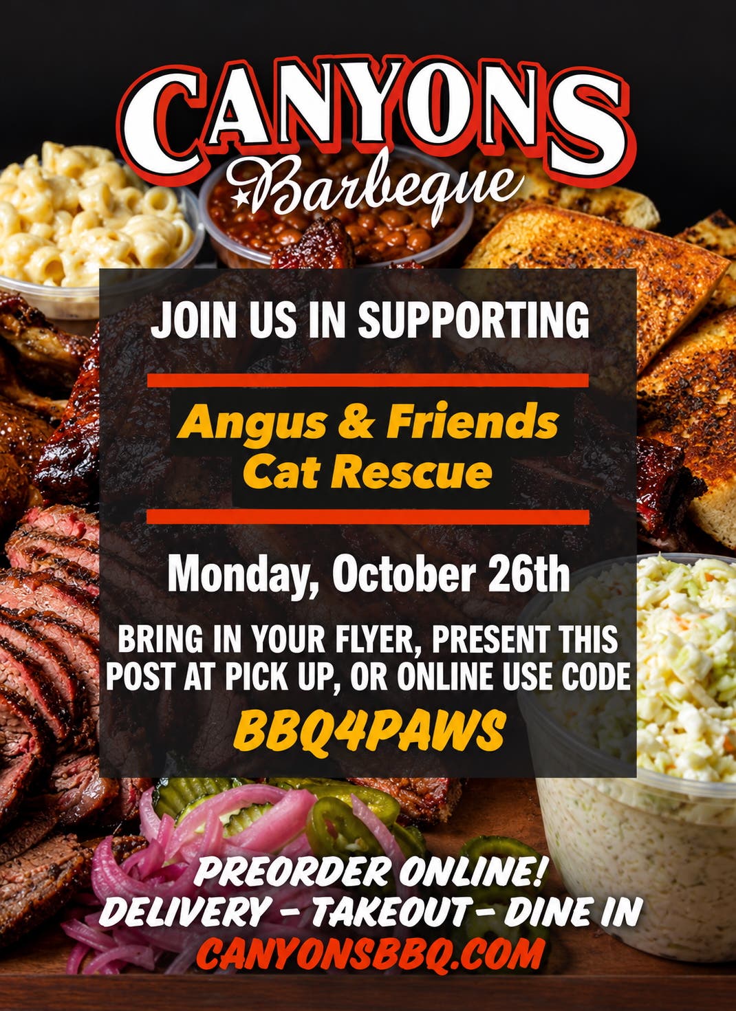 Angus & Friends Cat Rescue Fundraiser in Castro Valley